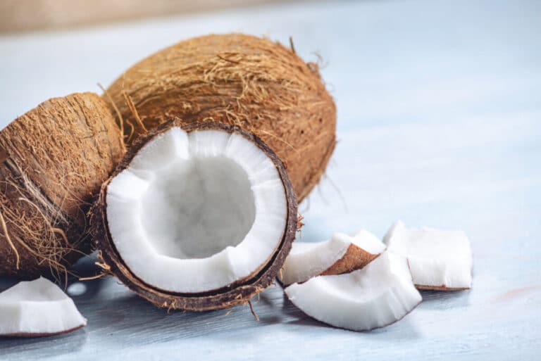 Is Coconut Allowed at Nut-Free Schools?